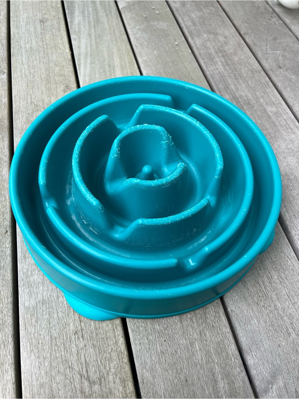 Slow-Feed Dog Bowl Large 3 Cup- Teal